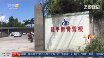 饶平最新爆料消息今天,揭秘今日热点事件背后的真相