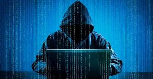 纽约情报站爆料视频,独家视频曝光惊人内幕  第2张