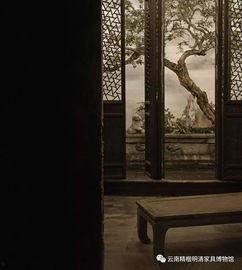 《陋室》在线观看,探寻简朴生活中的诗意与哲理  第3张